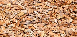 Wood Biomass in Chip Form